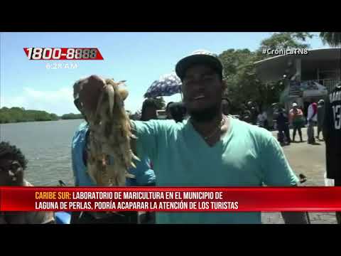 Laboratorio de maricultura tiene potencial turístico en Laguna de Perlas - Nicaragua