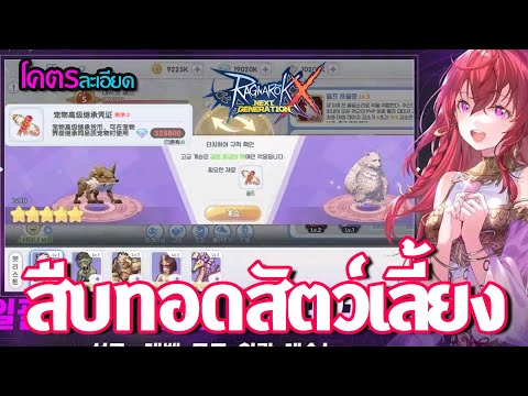 ROXระบบสืบทอดสัตว์เลี้ยงและระ