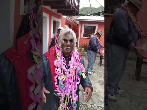 carnaval Originaria Boliviana video #shorts