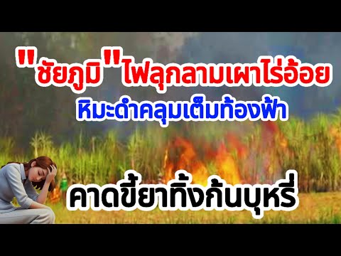 ชัยภูมิไฟลุกลามเผาไร่อ้อยเกิด