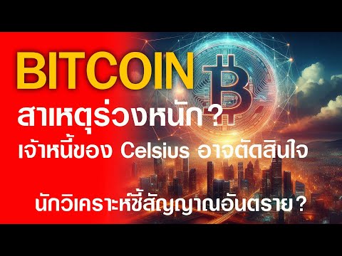 btcร่วงล้างพอร์ตกระจายอะไรคื