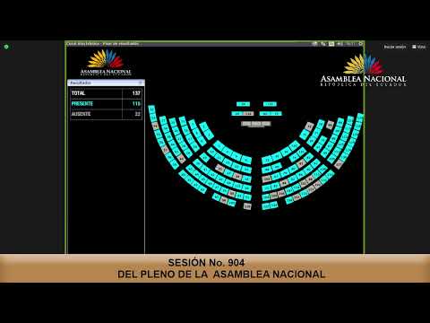 Votación de la moción del asambleísta Blasco Luna - sesión 904