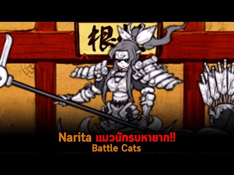 Narita-แมวนักรบหายาก-Battle-Ca Narita-แมวนักรบหายาก-Battle-Ca