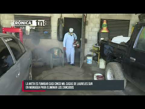Fumigación y limpieza, claves para evitar enfermedades en el invierno - Nicaragua