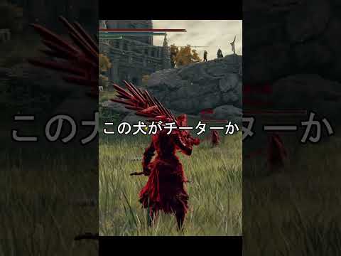 エルデンリング 地獄の侵入 本日の粗大ゴミチーター?いやラグ使い犬!  ELDEN RINGDLC #elden #eldenringdlc #ダクソ3