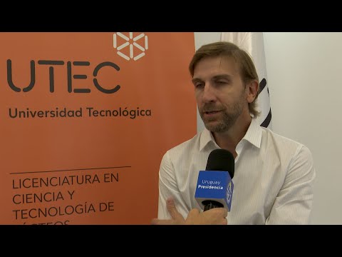 Entrevista a Andrés Möller, director del Instituto Tecnológico Regional Suroeste