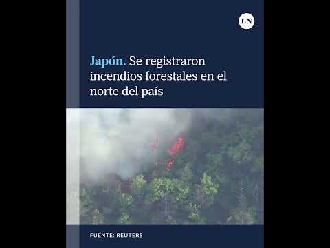 Japón: se registraron incendios forestales en el norte del país