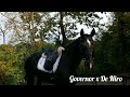 حصان الفروسية Zwarte dressuurmerrie uit top stammetje