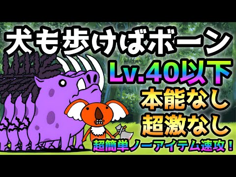 犬も歩けばボーン  Lv.40以下＆本能なし＆超激なし＆ノーアイテム速攻　にゃんこ大戦争　暴かれし神殿の秘宝