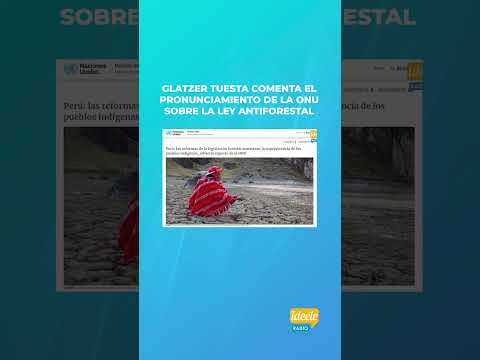 Glatzer Tuesta comenta el pronunciamiento de la ONU sobre la Ley Antiforestal