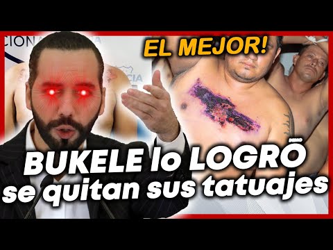 NAYIB BUKELE el MEJOR PRESIDENTE del mundo!