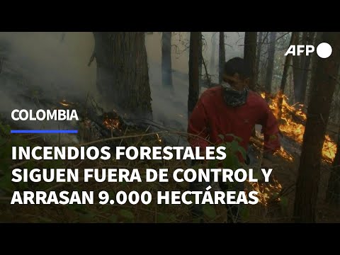 Incendios forestales en Colombia siguen fuera de control y arrasan 9.000 hectáreas | AFP