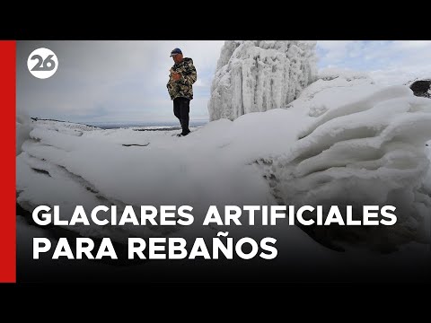Los glaciares artificiales para salvar a los rebaños | #26Global