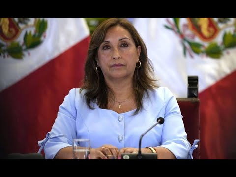 Dina Boluarte promulgó ley que elimina elecciones Primarias Abiertas Simultáneas y Obligatorias