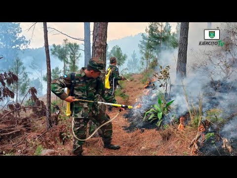 Ejército de Nicaragua participó en sofocación de incendios en Nueva Segovia, Estelí y Chinandega