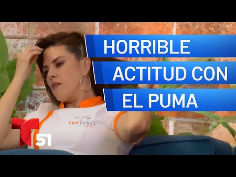 La horrible actitud de Alicia Machado con El Puma