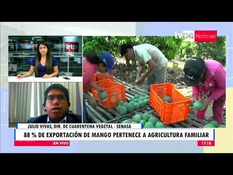 Noticias Tarde | Julio Vivas, director de Cuarentena Vegetal - Senasa