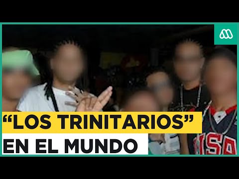 ¿Quiénes son “Los Trinitarios”?: La peligrosa banda de origen dominicano que opera en Chile