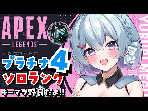 【APEX/プラチナ４】火曜日だぞ！初見さんもおはよう🌞キーマウソロランク！【ゆるりめぐ/Vtuber】