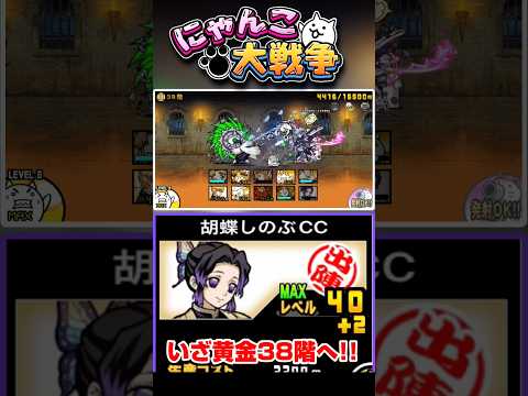 胡蝶しのぶを編成に入れていざ黄金にゃんこ塔38階へ #にゃんこ大戦争