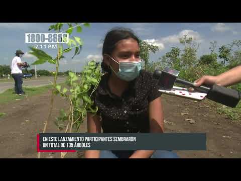ALMA lanza plan de reforestación para cuidar la Madre Tierra - Nicaragua