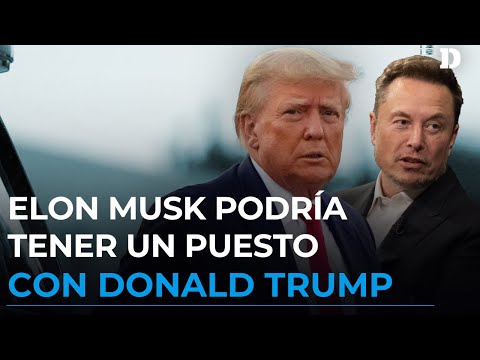 Elon Musk sería asesor de Trump si vuelve a la Casa Blanca, según WSJ | El Diario