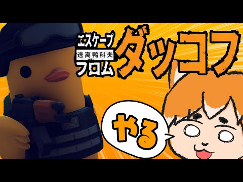 【横】ストレスを発散するためにダッコフやる