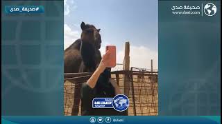 ناويه تصور ولكن عدت على خير