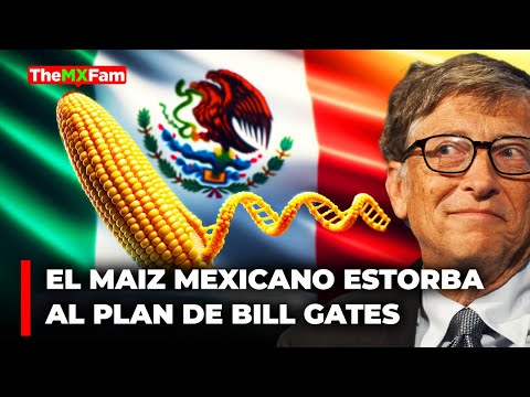 Por qué Bill Gates Necesita Desaparecer el Maíz Mexicano? | TheMXFam