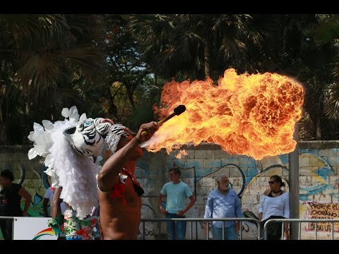 Imagenés: Desfile Nacional del Carnaval 2019 - Santo Domingo