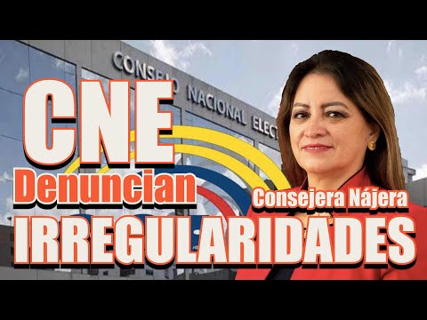 Adulatoria para el CNE solicita consejera Nájera y otros