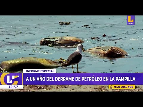 Pasó un año del derrame de petróleo en Pampilla, la situación parece no mejorar #LatinaNoticias