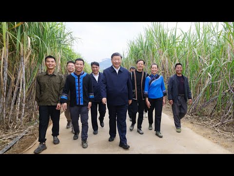 Xi Jinping inspecciona la ciudad de Laibin en la regiónautónoma de la etnia zhuang de Guangxi