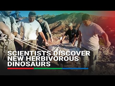 Scientists discover new herbivorous dinosaurs that roamed Argentina
