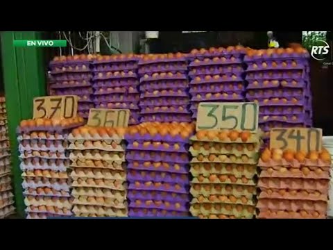 Precio del huevo se mantiene mercado Montebello