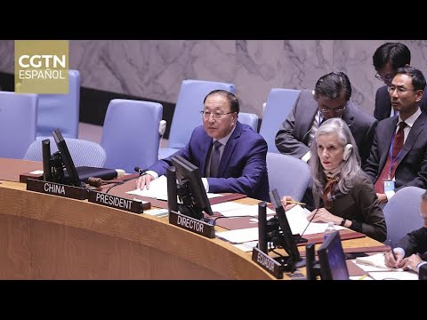 El enviado chino ante la ONU pide un alto al fuego inmediato entre Israel y Palestina