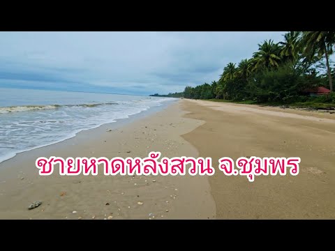 เดินชมรับลมทะเลชายหาดหลังสวนจ