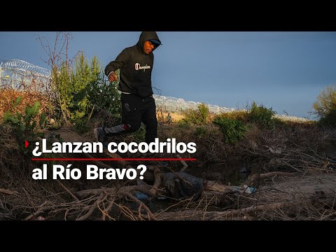 ¿Lanzan cocodrilos al Río Bravo para ahuyentar a migrantes que intenten cruzar a EU? #LaFalsas