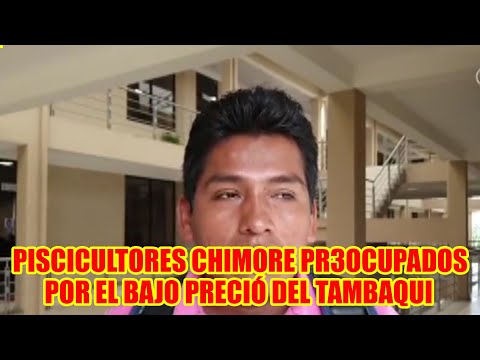 PSICULTORES DE CHIMORE PR3OCUPADO DE MERCADO Y EL BAJO PRECIÓ DEL PESCADO TAMBAQUI..