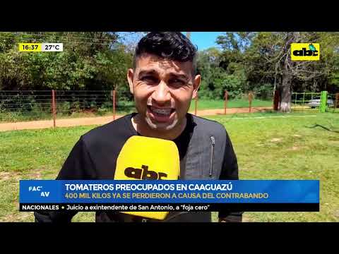 Tomateros preocupados en Caaguazú  por perdidas de kilos de tomates a causa del contrabando