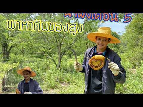 พาพี่น้องไปเอาผึ้ง พาพี่น้องไปเอาผึ้ง