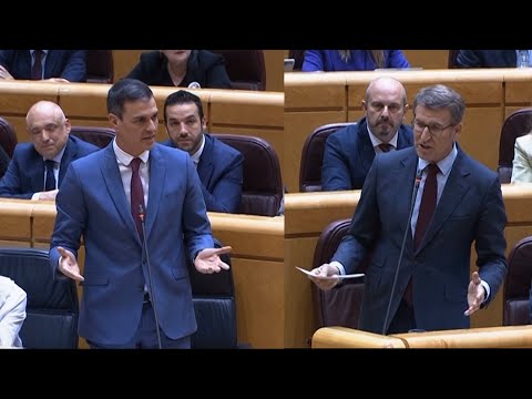 Nuevo cruce de reproches entre Sánchez y Feijóo en el Senado