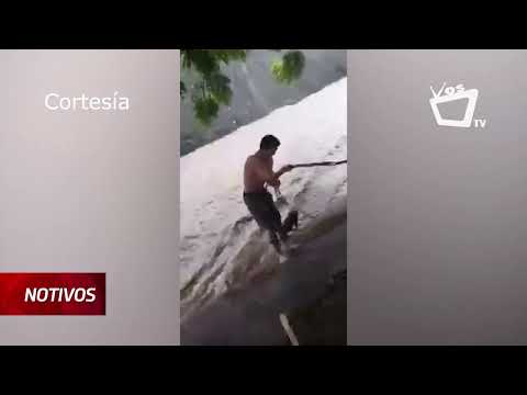 Boxeador nicaragüense salva a un perro de ser arrastrado por la corriente
