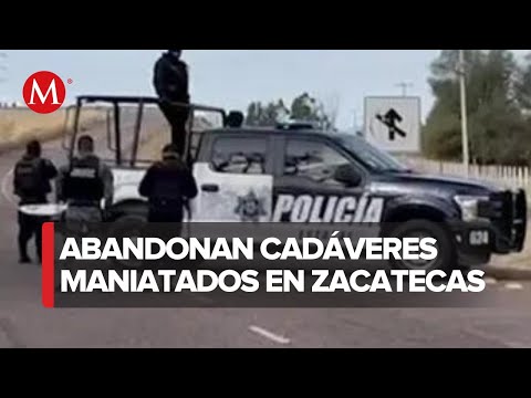 Descubren macabro hallazgo en Zacatecas: Operativo policiaco tras el hallazgo de cuerpos abandonados