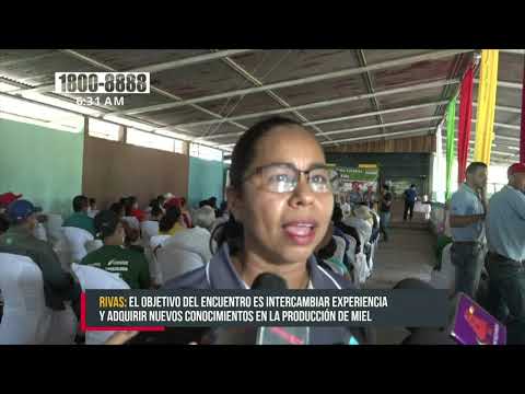 Realizan «Foro Departamental de la Miel», en Rivas - Nicaragua
