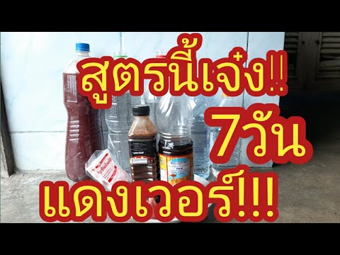 สูตรนี้เจ๋งแดงได้แดงดีภายใน7ว