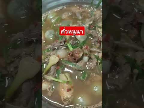 ผัดเผ็ดหนูนา