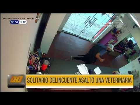 Solitario delincuente asaltó una veterinaria en Fernando de la Mora