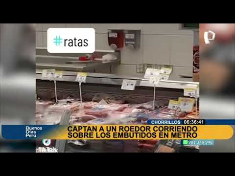 Chorrillos: captan a un roedor corriendo en embutidos en Metro