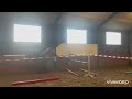 Springpaard Top eventing/springtalent
